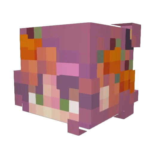 lrus Minecraft avatar head, 3D render
