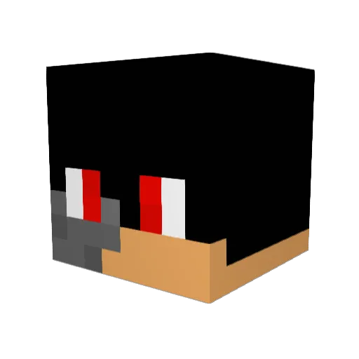 ls392901 Minecraft avatar head, 3D render