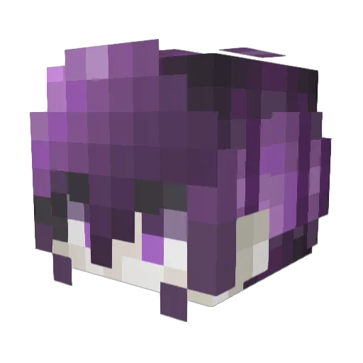 ls____________sl Minecraft avatar head, 3D render