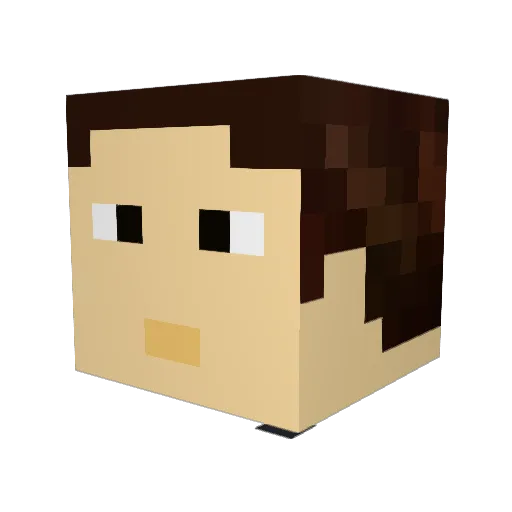 lsfrt Minecraft avatar head, 3D render