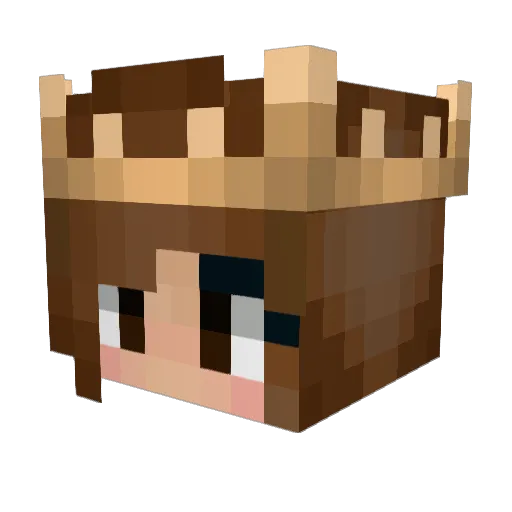 lshmsfaidmt Minecraft avatar head, 3D render