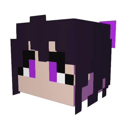 lsia09 Minecraft avatar head, 3D render