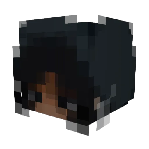 lsszinn Minecraft avatar head, 3D render