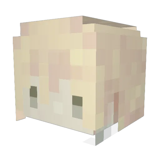 lsttq Minecraft avatar head, 3D render