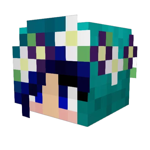 lsy2401 Minecraft avatar head, 3D render