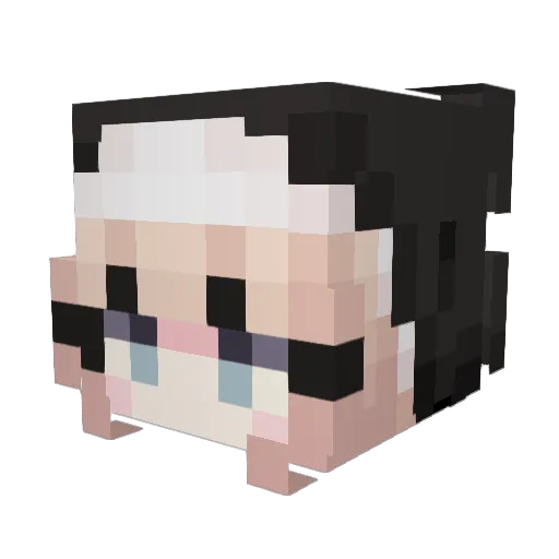 lsy951025 Minecraft avatar head, 3D render