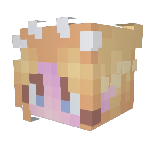 lszdp Minecraft avatar head, 3D render