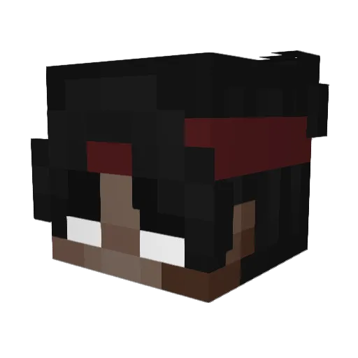 lt1DiaSMP Minecraft avatar head, 3D render
