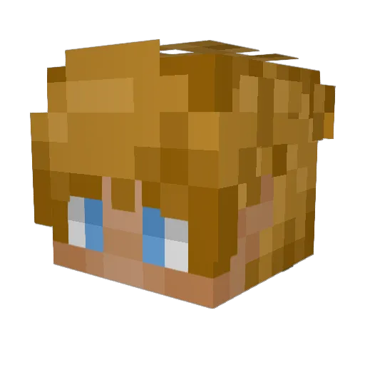 ltb4 Minecraft avatar head, 3D render