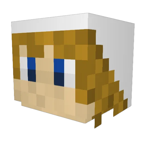lteam55 Minecraft avatar head, 3D render
