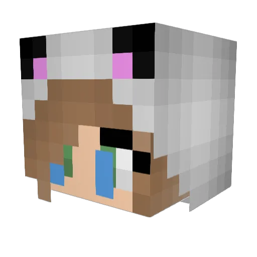 ltl4 Minecraft avatar head, 3D render
