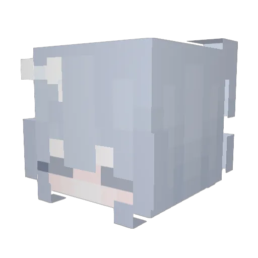 ltsalee Minecraft avatar head, 3D render