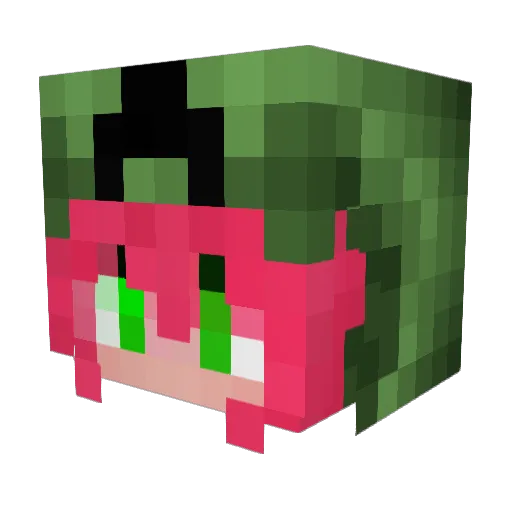 ltvbj Minecraft avatar head, 3D render