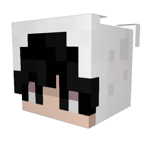 lu1shimself Minecraft avatar head, 3D render