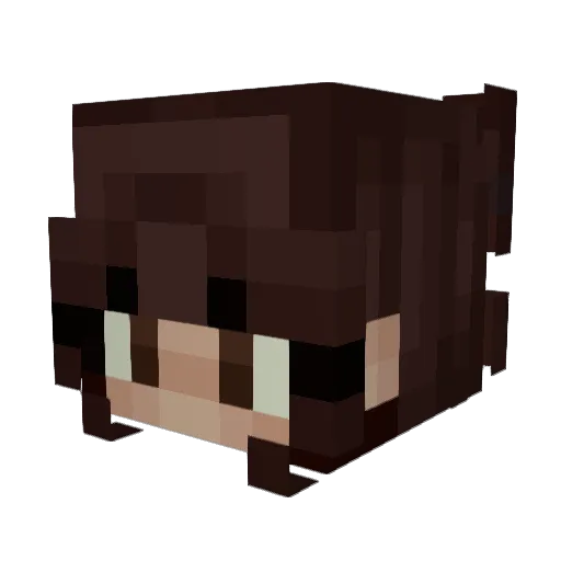lu1zka Minecraft avatar head, 3D render