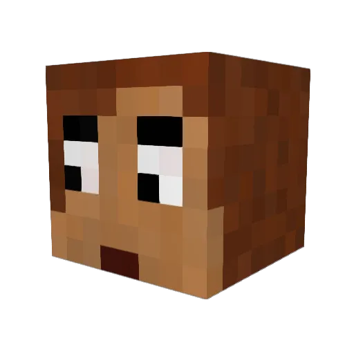lu__x3 Minecraft avatar head, 3D render