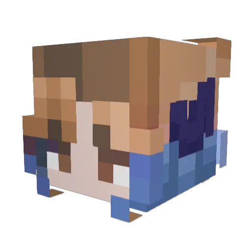 lu_nic Minecraft avatar head, 3D render