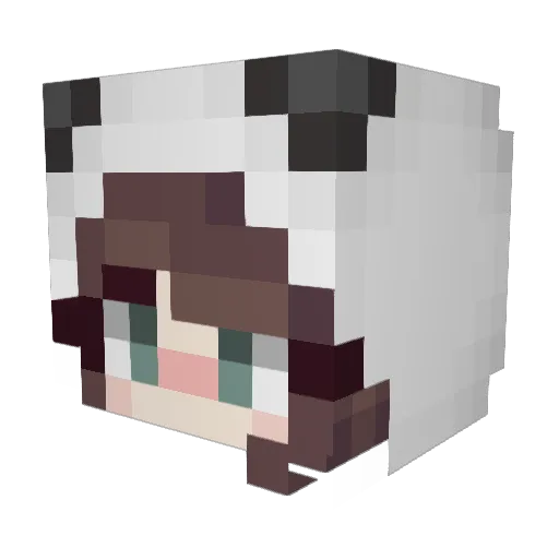 lu_qi Minecraft avatar head, 3D render