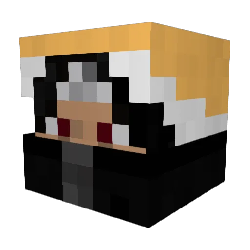 luannasz Minecraft avatar head, 3D render