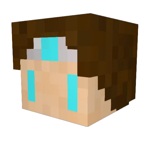 luap411711 Minecraft avatar head, 3D render