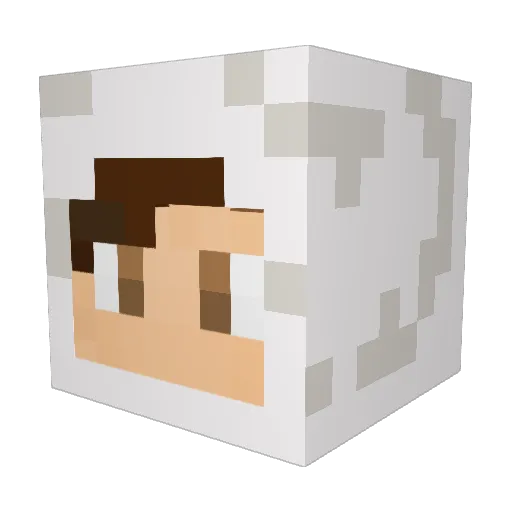 luawk Minecraft avatar head, 3D render