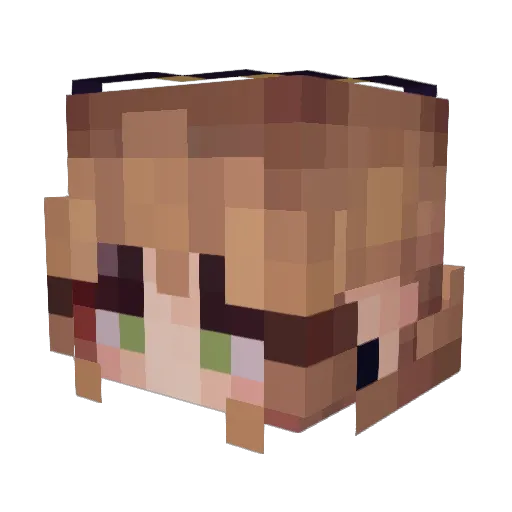 lubedcalf Minecraft avatar head, 3D render