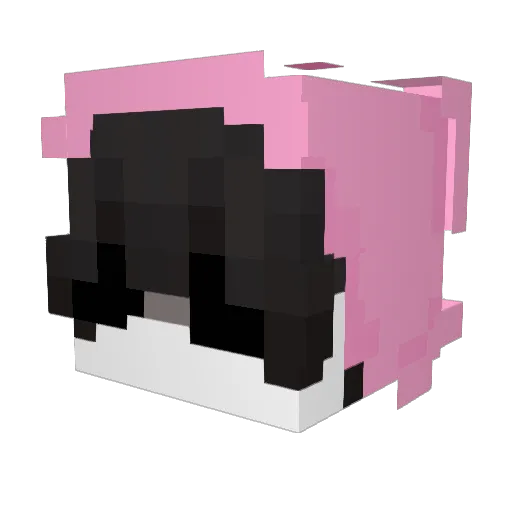 lubie_pierniki Minecraft avatar head, 3D render