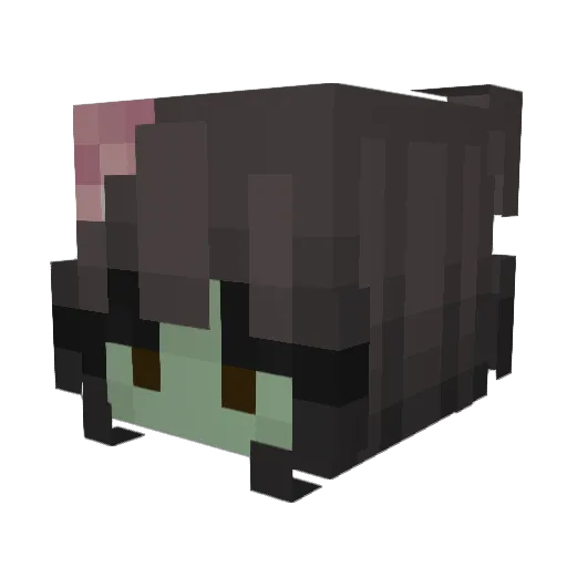 lubilu17 Minecraft avatar head, 3D render