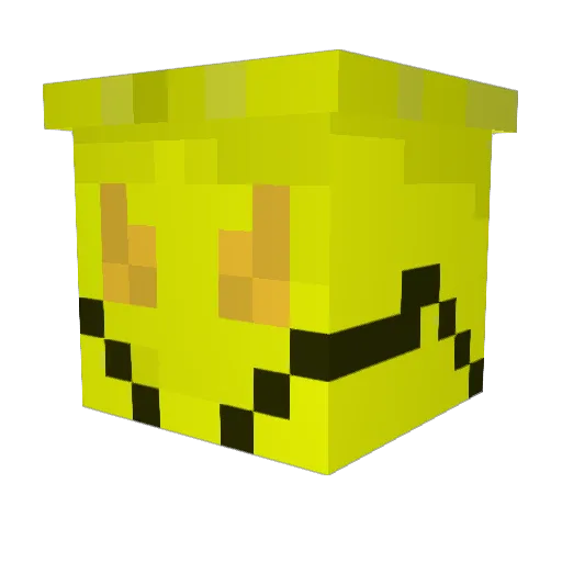 lucai0n Minecraft avatar head, 3D render
