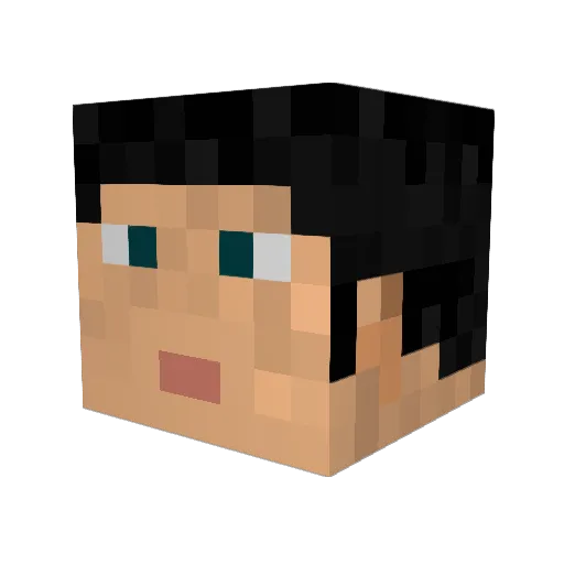 lucan22 Minecraft avatar head, 3D render