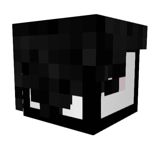 lucaolobo Minecraft avatar head, 3D render