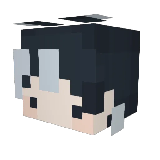 lucas090128 Minecraft avatar head, 3D render