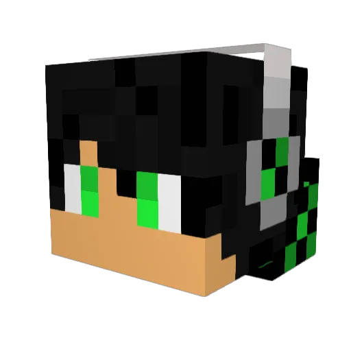 lucas101202 Minecraft avatar head, 3D render