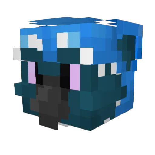 lucas2mason1 Minecraft avatar head, 3D render