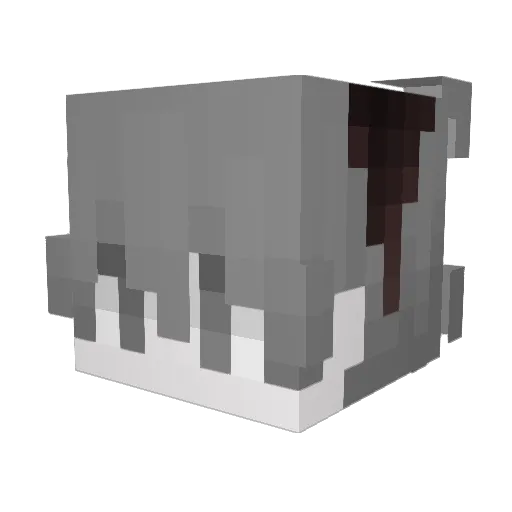 lucas447 Minecraft avatar head, 3D render