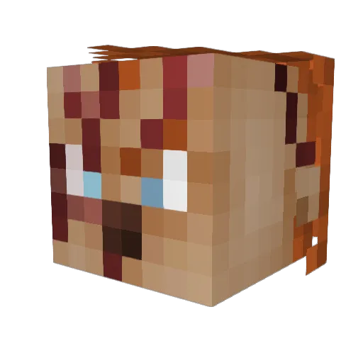 lucas67 Minecraft avatar head, 3D render