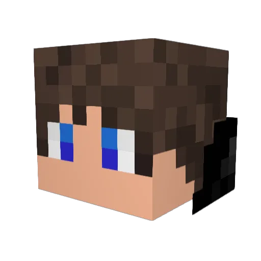 lucas8565 Minecraft avatar head, 3D render