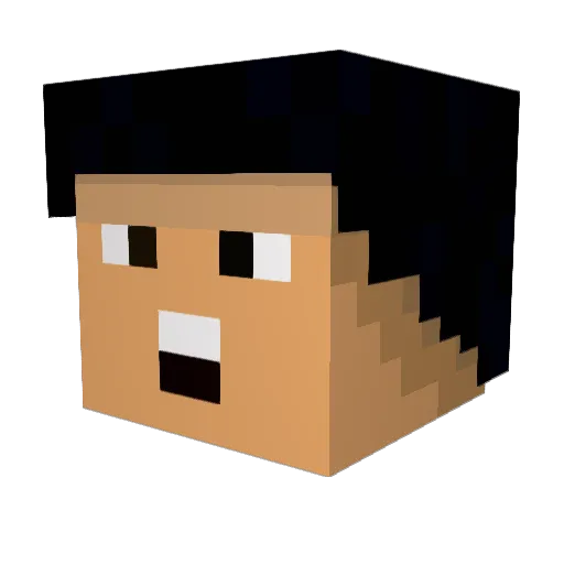 lucas9667 Minecraft avatar head, 3D render