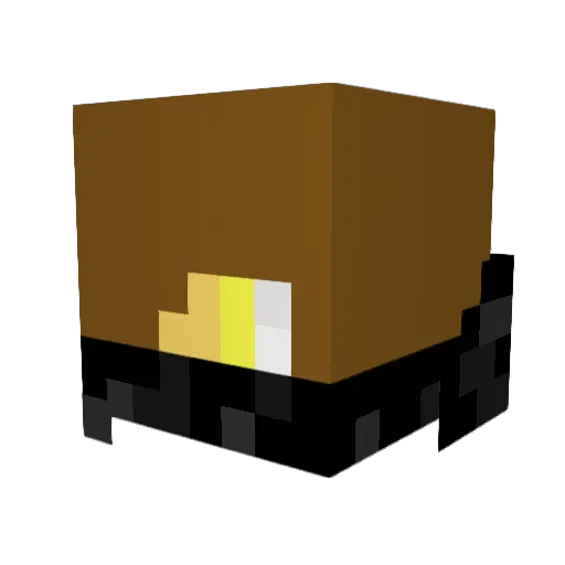 lucas990099 Minecraft avatar head, 3D render