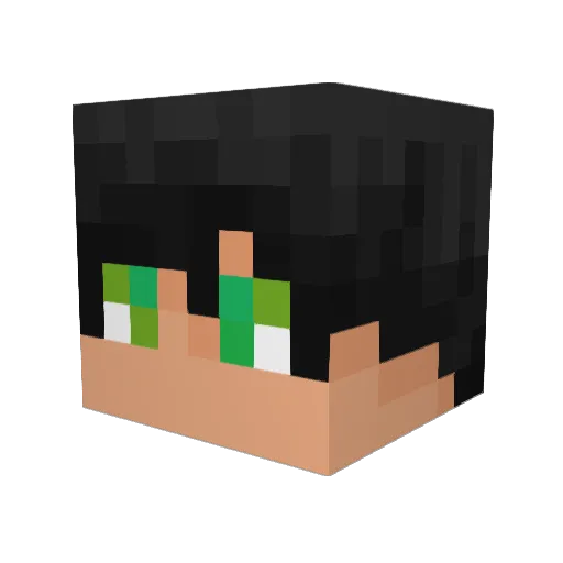 lucasCG125_ Minecraft avatar head, 3D render