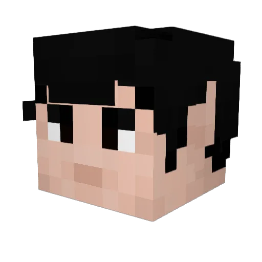lucascool0208 Minecraft avatar head, 3D render