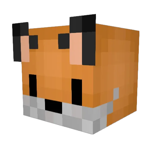lucascoule Minecraft avatar head, 3D render