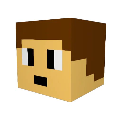 lucasdude3124 Minecraft avatar head, 3D render