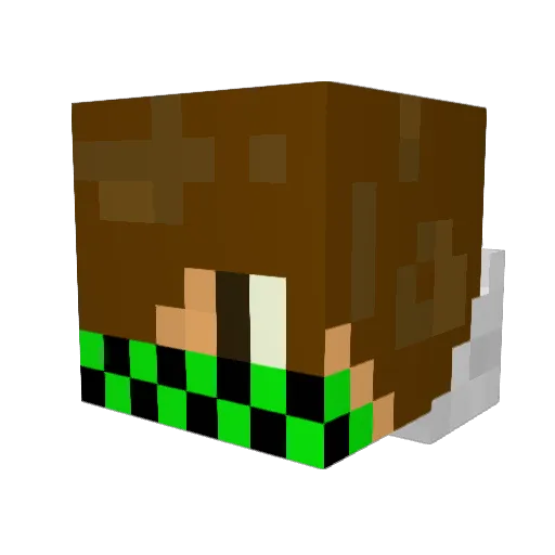 lucasfaucquez Minecraft avatar head, 3D render