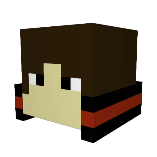 lucasfelipe007 Minecraft avatar head, 3D render