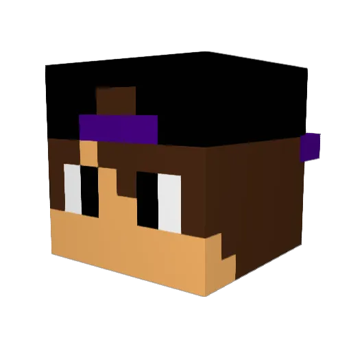 lucasisawesome24 Minecraft avatar head, 3D render