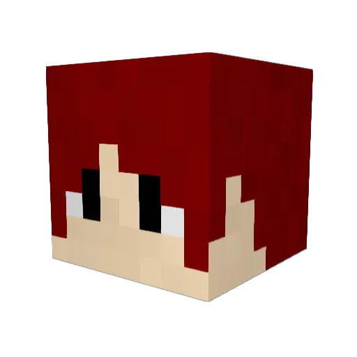 lucaslucason Minecraft avatar head, 3D render