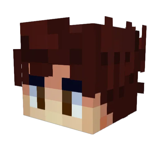 lucasmp4 Minecraft avatar head, 3D render