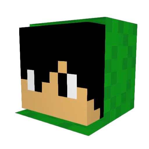 lucasnumber0705 Minecraft avatar head, 3D render