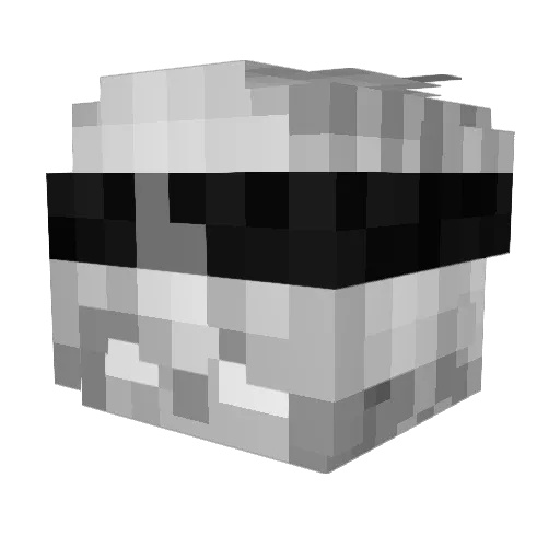 lucasrr17 Minecraft avatar head, 3D render